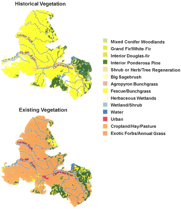[Map of historic and existing vegetation.]